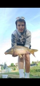 Mirror Carp
