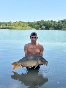 Mirror Carp