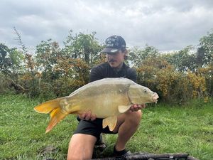 Mirror Carp