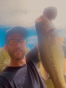 Largemouth Bass