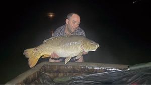 Mirror Carp