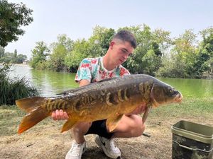 Common Carp