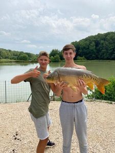 Mirror Carp