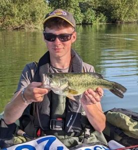 Largemouth Bass