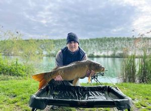Mirror Carp