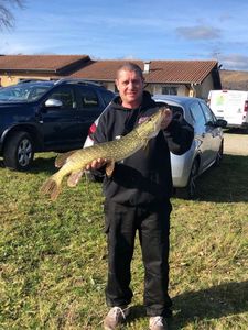 Northern Pike