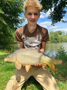 Common Carp