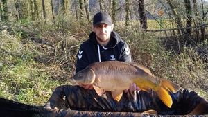 Mirror Carp