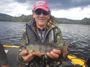 European Perch