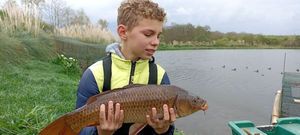 Common Carp