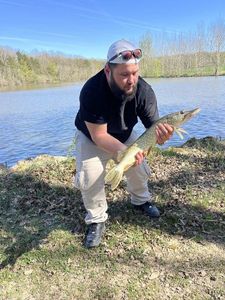 Northern Pike