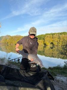 Shortnose Sturgeon