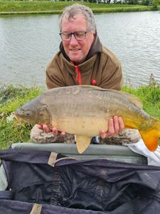 Mirror Carp