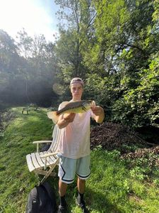 Largemouth Bass