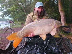 Mirror Carp