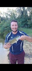 Largemouth Bass
