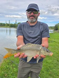 Mirror Carp