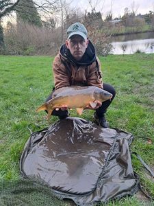 Mirror Carp
