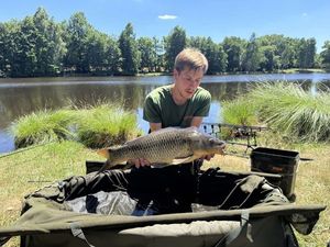 Common Carp