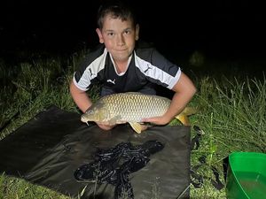 Common Carp