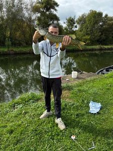 Northern Pike