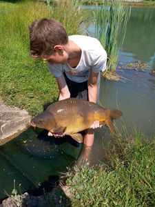 Mirror Carp