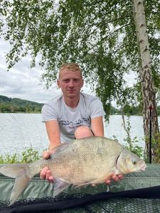 Common Bream