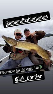 Northern Pike