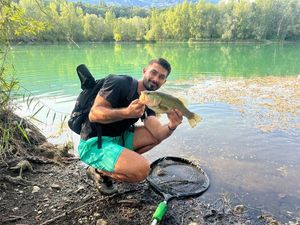 Largemouth Bass