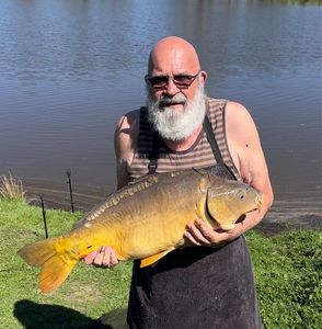 Mirror Carp