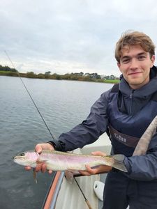 Rainbow Trout