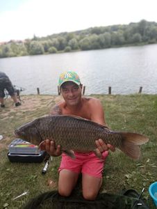 Common Carp