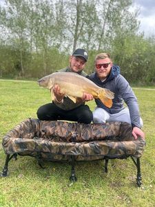 Mirror Carp