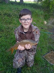 Common Carp
