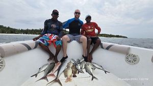 Rainbow Runner