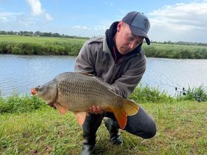 Common Carp
