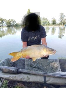 Mirror Carp