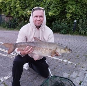 Barbel