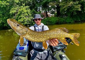 Northern Pike