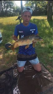 Common Carp