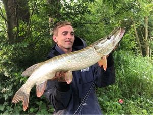 Northern Pike