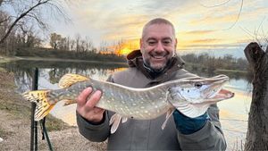 Northern Pike