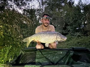 Mirror Carp