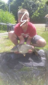 carpe commune