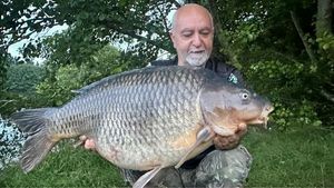 Common Carp