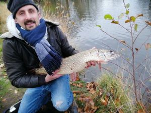 Northern Pike