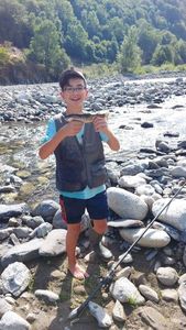 Rainbow Trout