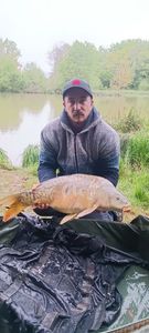 Mirror Carp