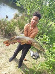 Northern Pike