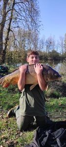 Mirror Carp